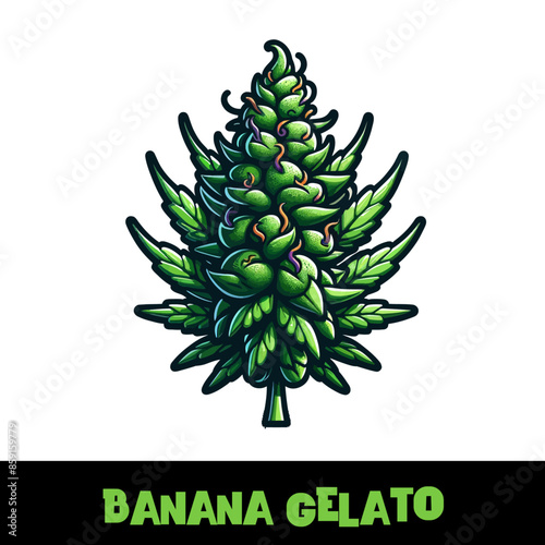 Vector Illustrated Banana Gelato Cannabis Bud Strain Cartoon