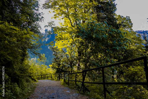 Pipe line track Ayubia Abbotabad, Hiking trail in green summer forest with sunshine, Ayubia, Pakistan
