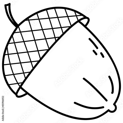 cute doodle acorn illustration