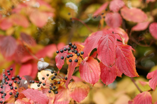 Walking through the middy forest paths around Hertford through the leaves and branches as the colder months of the year wrap themselves around the world