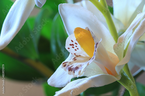 Vibrant flowers sitting underneath the UK sun