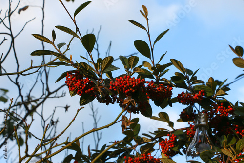 Walking through the middy forest paths around Hertford through the leaves and branches as the colder months of the year wrap themselves around the world