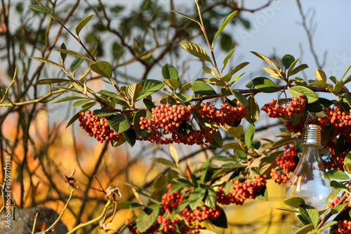 Walking through the middy forest paths around Hertford through the leaves and branches as the colder months of the year wrap themselves around the world