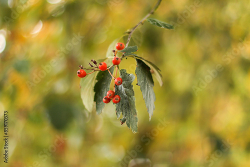 Walking through the middy forest paths around Hertford through the leaves and branches as the colder months of the year wrap themselves around the world