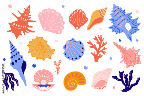 Cartoon seashells, seaweed, algae, mollusks, corals vector illustration element set for design. Different types of exotic underwater ocean sea beach shells, marine, aquatic nautical sticker collection