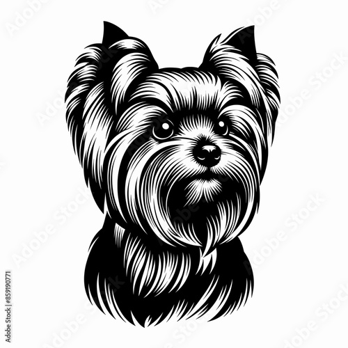 Bold Line Vector of a Cute Yorkshire Terrier Puppy Face on a Flat White Background