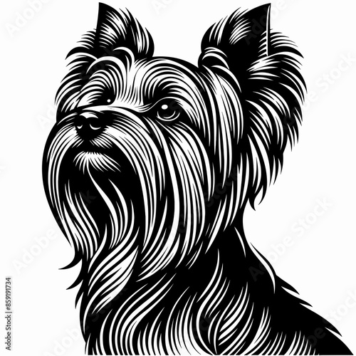 Wallpaper Mural Bold Line Vector of a Cute Yorkshire Terrier Puppy Face on a Flat White Background Torontodigital.ca
