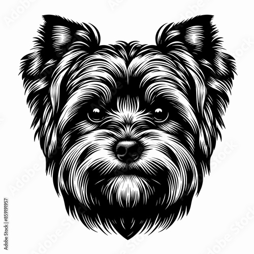 Bold Line Vector of a Cute Yorkshire Terrier Puppy Face on a Flat White Background
