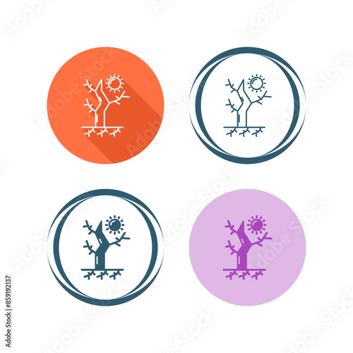 Drought Vector Icon