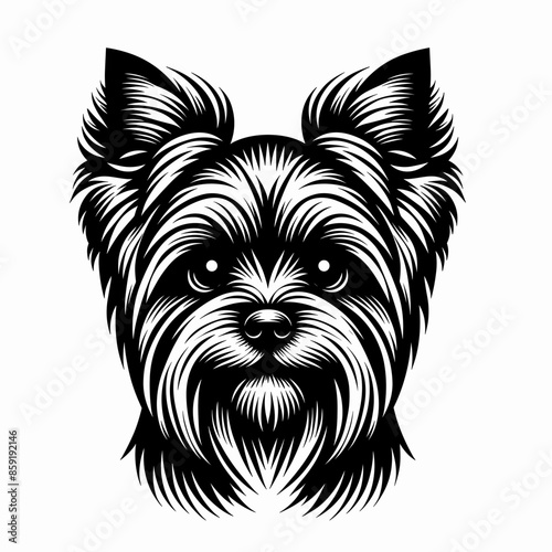 Bold Line Vector of a Cute Yorkshire Terrier Puppy Face on a Flat White Background