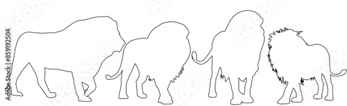 Photography hand drawn illustration of a Lion