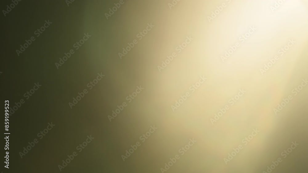 Real lens flare with strong sun backlight and light leaks Real lens flare with strong sun backlight and light leaks