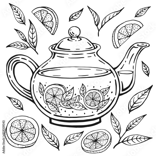 Glass teapot, lemon slices, tea leaves. Hand drawn vector illustration in outline style.