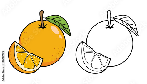 Vector Illustration of orange fruit with lines and colors, for children's coloring book