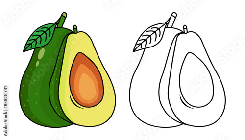 Vector Illustration of avocado with lines and colors, for children's coloring book