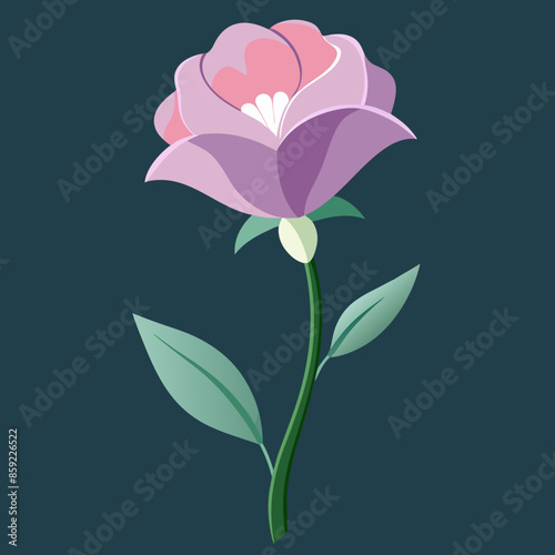 vector illustration of flower eustoma
