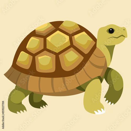 vector illustration sulcata-tortoise 