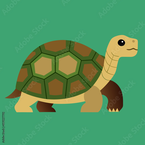 vector illustration sulcata-tortoise 