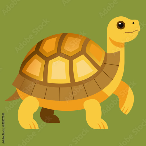 vector illustration sulcata-tortoise 
