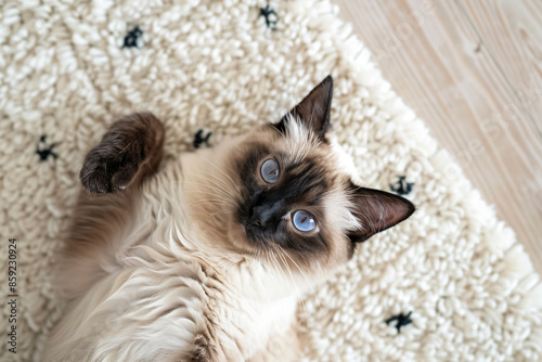 a cat laying on a rug on a wooden floor