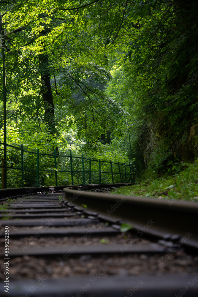 Old railway in the forest.