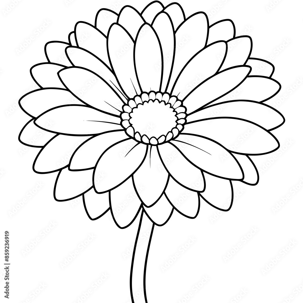 illustration of flower gerbera illustration of flower gerbera