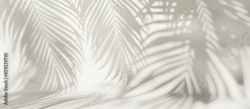 Shadows of palm leaves on a white wall. Abstract background of shadows of palm leaves. White wall in tropical shadows. Vacation, relax, beauty industry concept.
