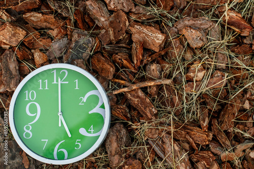A round green clock with a white frame lies on the ground strewn with wooden cinnamon sticks and twigs and shows 5 o'clock photo