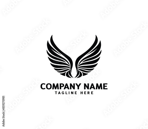 Wings logo vector illustration. Wings logo design. Modern angel wings. Shallotte of angle wings