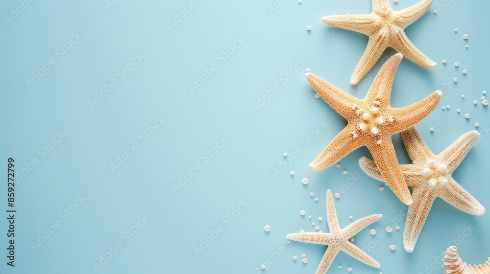 Summer themed starfish on soft blue backdrop with room for text Summer themed starfish on soft blue backdrop with room for text