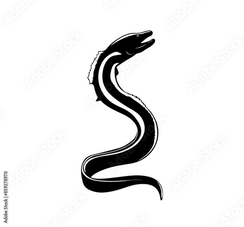 Eel silhouette vector illustration isolated on a white background 