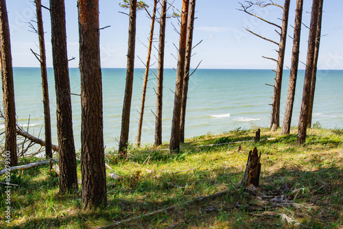 Staldzene steep coast beach at the Baltic sea in June in summer in Ventspils in Latvia photo