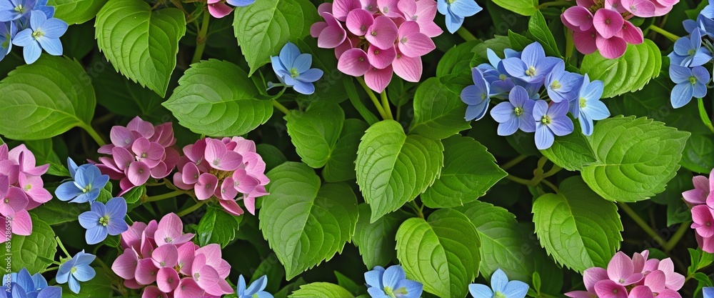 A Burst of Nature's Beauty