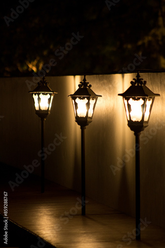 outdoor lamp in the park at the night