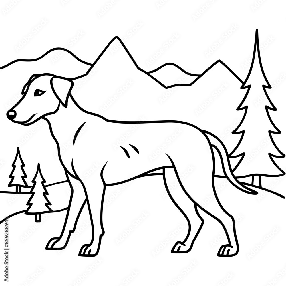 Obraz premium Dog breeds coloring pages