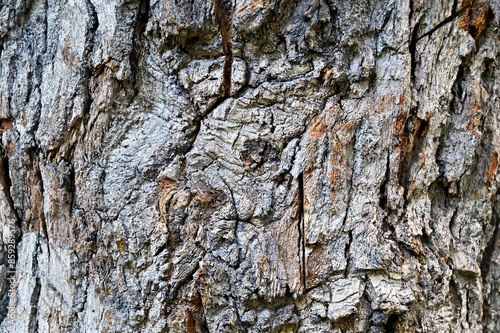 Cracked wooden background
