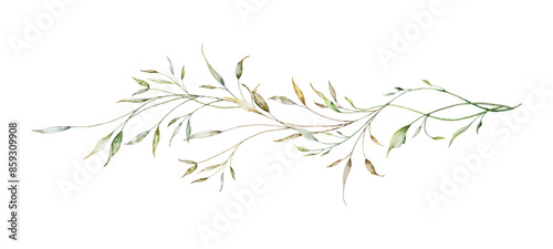 Watercolor botanical long branches and leaves