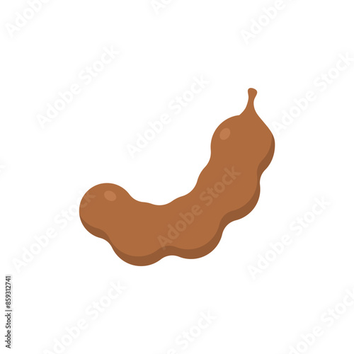 tamarind flat design vector illustration isolated on white background. Flavor spices and herbs menu template collection. Ripe brown tamarindus indica icon for package design. tropical exotic fruits