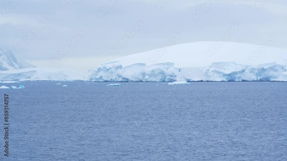 Humpback Whale Tail Dives in Antarctica Scenic Cruise Whale Watching Icebergs Snow Covered Land in Background Incredible Wildlife Humpback Whale Tail Dives in Antarctica Scenic Cruise Whale Watching Icebergs Snow Covered Land in Background Incredible Wildlife