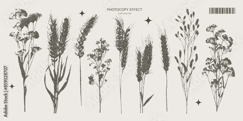 Set of plants with retro photocopy effect Y2K. Pop art design. Vector illustration for T-shirt prints, collage designs, banner, postcards, posters.