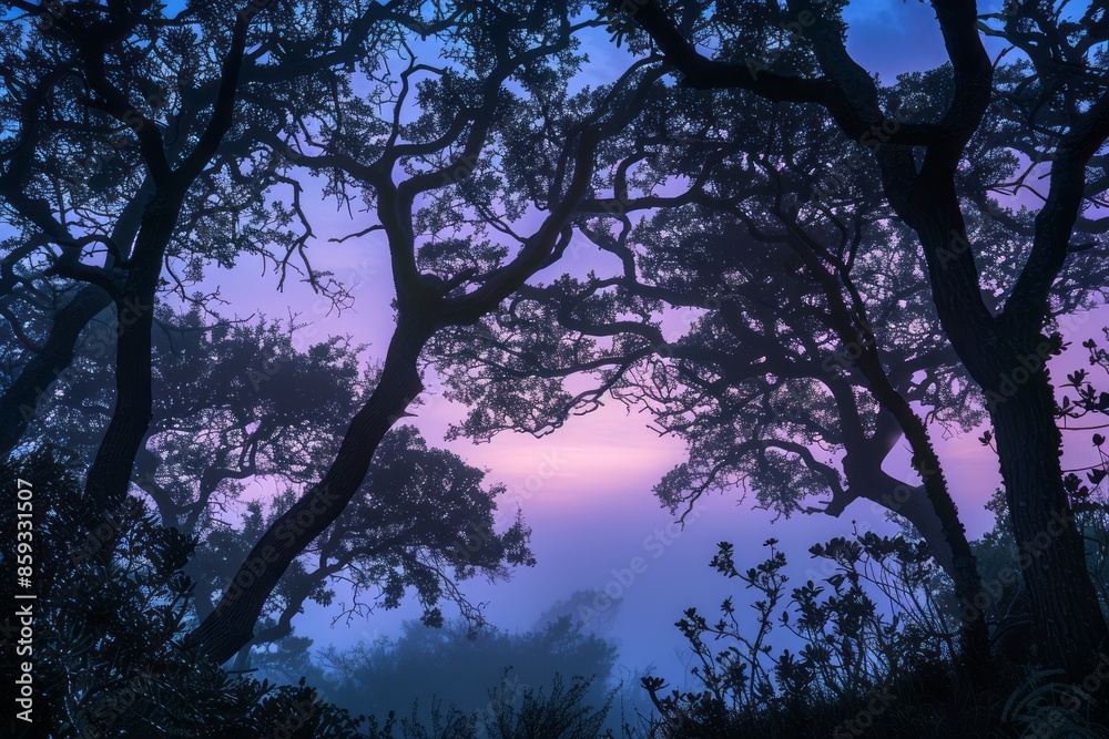 A forest with trees that are mostly bare and have a foggy atmosphere A forest with trees that are mostly bare and have a foggy atmosphere