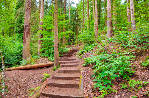 Bild auf Leinwand Panoramiv over hiking trail, ancient forest at Sandstone rocks Schrammstein grou