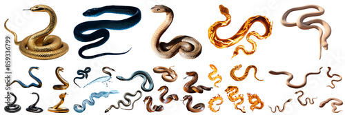 Wallpaper Mural snake element silhouette Chinese astrology Torontodigital.ca