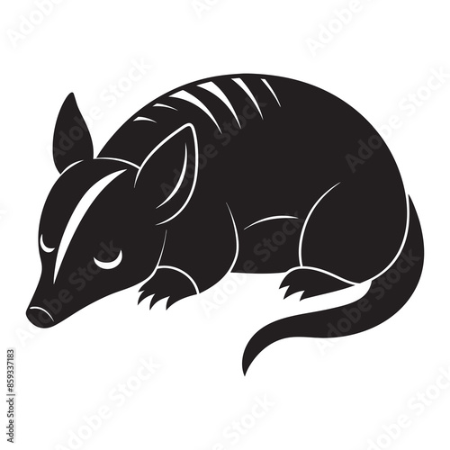 illustration of a silhouette of a sleeping armadillo photo