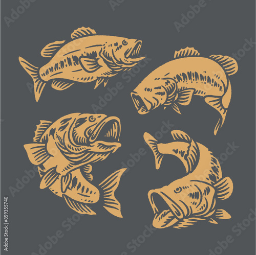 vector fish illustration, in vintage style, and various positions, one color