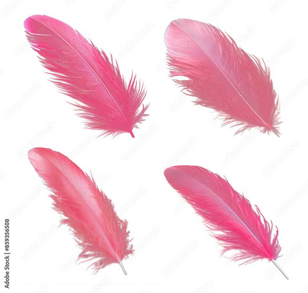 Soft pink feather set isolated on transparent background cutout, Png file for graphic resources Soft pink feather set isolated on transparent background cutout, Png file for graphic resources