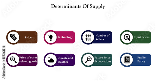 Eight Determinants of supply. Infographic template with icons and description placeholder
