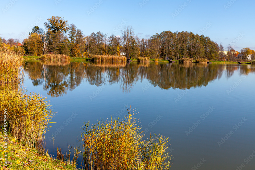 Fototapeta premium Landscape in the countryside by the lake on a sunny October day. A quiet place to relax by the water.