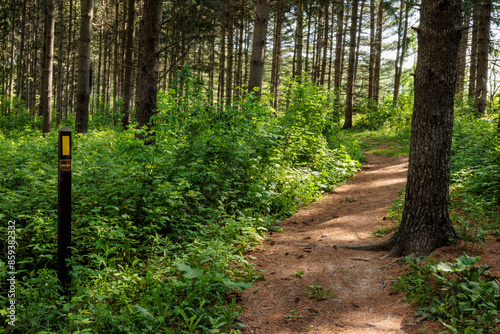 Photos The blaze yellow marks the National Scenic Ice Age Trail through the Loew Lake U