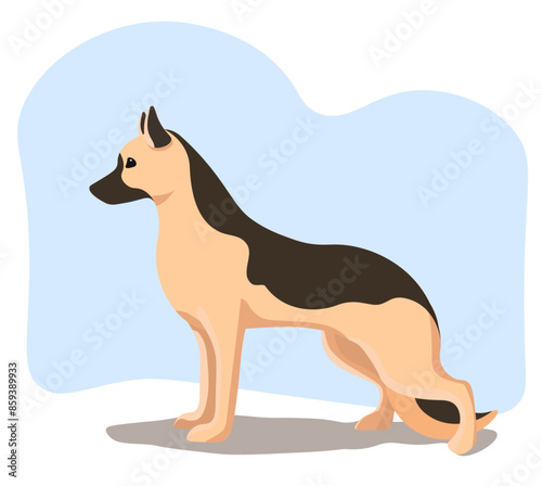 German shepherd dog vector illustration